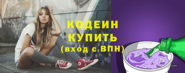 хмурый Магас