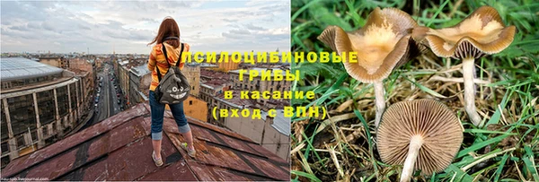 мдма Медногорск