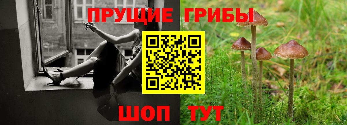 Псилоцибиновые грибы GOLDEN TEACHER  Верхняя Салда 